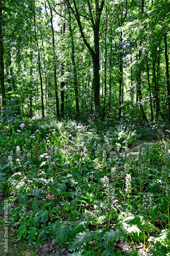 Poulaines; France - july 13 2020 : Poulaines estate photo