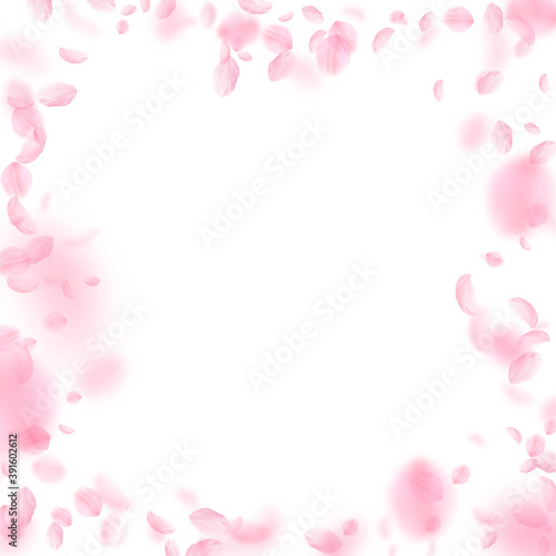 Sakura petals falling down. Romantic pink flowers  © Begin Again
