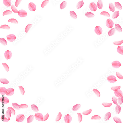 Sakura petals falling down. Romantic pink silky me