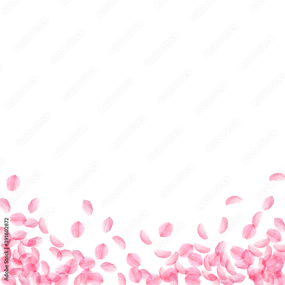 Sakura petals falling down. Romantic pink silky me Sakura petals falling down. Romantic pink silky me