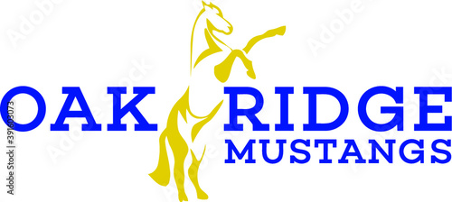 horse logo