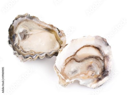 Fresh opened oyster on a white background