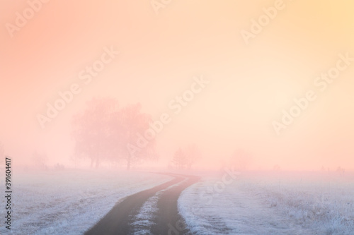 Misty sunrise in the winter forest. Trees with hoarfrost in the foggy morning. Beautiful winter landscape. South Ural  Russia