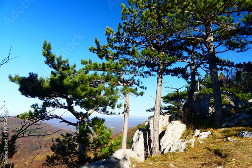 Naturpark Föhrenwald photo