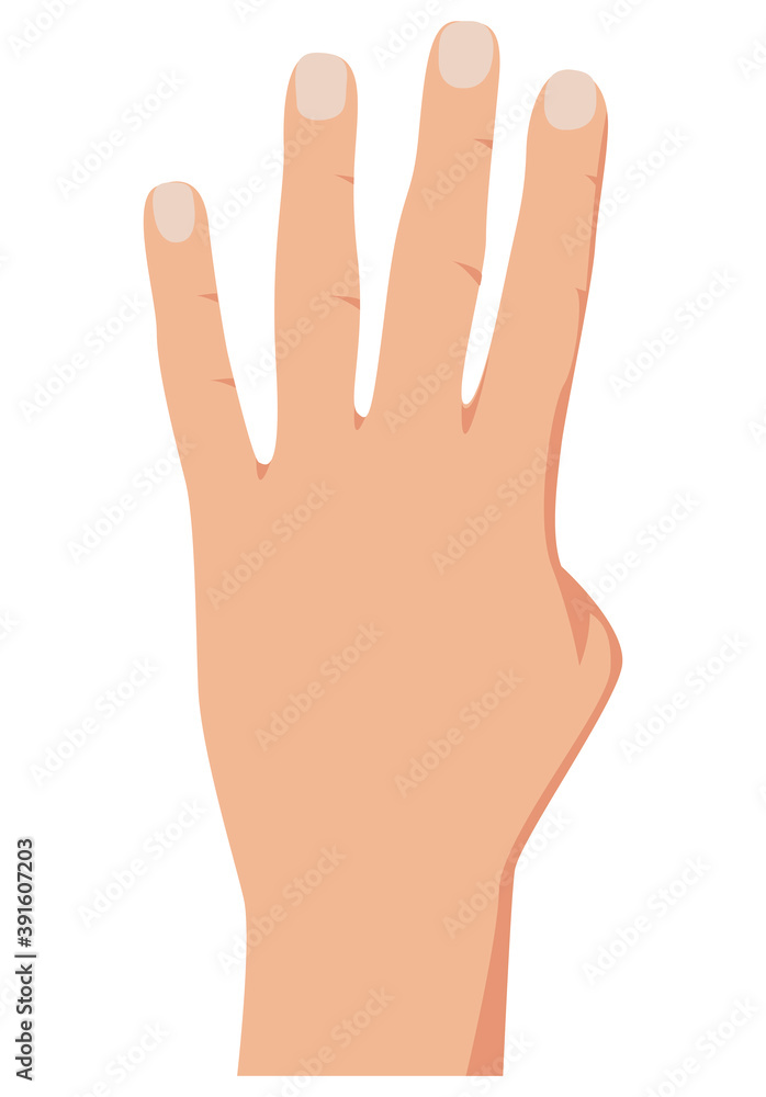 Hand gesture counting four, realistic counting hand illustration. Number 4 hand gesture. Isolated on white backgound. Vector Hand gesture counting four, realistic counting hand illustration. Number 4 hand gesture. Isolated on white backgound. Vector