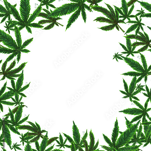 Illustration of an abstract frame of hemp leaves inside a white background. Blank for designers  vegan food  shop  postcard  logo  clothing  textiles  bed