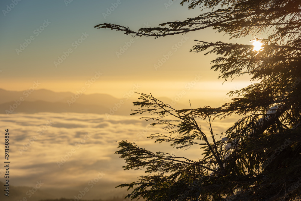 Obraz premium Winter in the Ukrainian Carpathian mountains with morning fogs