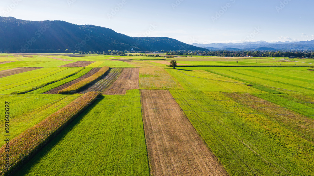Fototapeta premium Aerial view of agricultural farming fields from sky.