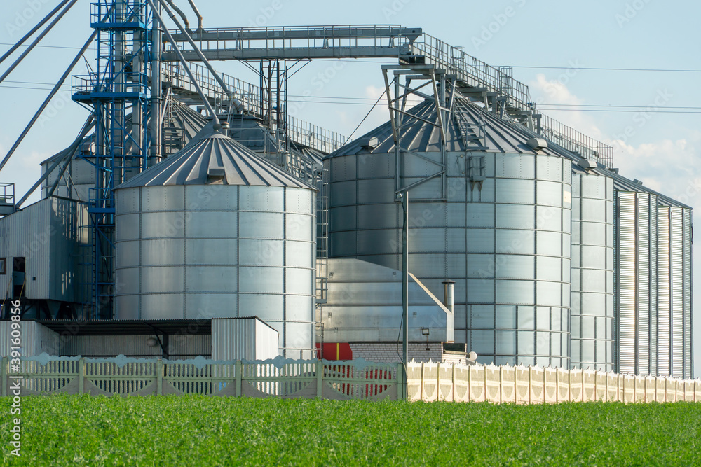 silver silos on agro manufacturing plant for processing drying cleaning and storage of agricultural products, flour, cereals and grain. Large iron barrels of grain. Granary elevator silver silos on agro manufacturing plant for processing drying cleaning and storage of agricultural products, flour, cereals and grain. Large iron barrels of grain. Granary elevator