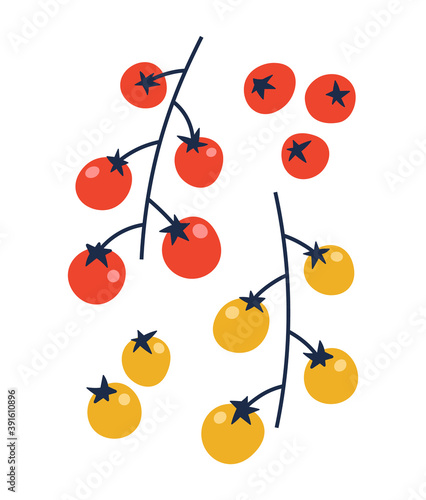 Vector illustration of red and yellow cherry tomatoes. Set of cherry tomatoes isolated on white background. Illustration of vegetables. Suitable for illustrating healthy eating, recipes, local farm.