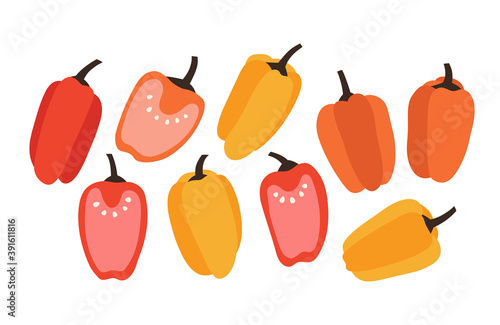 Vector illustration of pepper. Set of pepper isolated on white background. Illustration of vegetables. Vegan concept. Suitable for illustrating healthy eating, recipes, local farm.