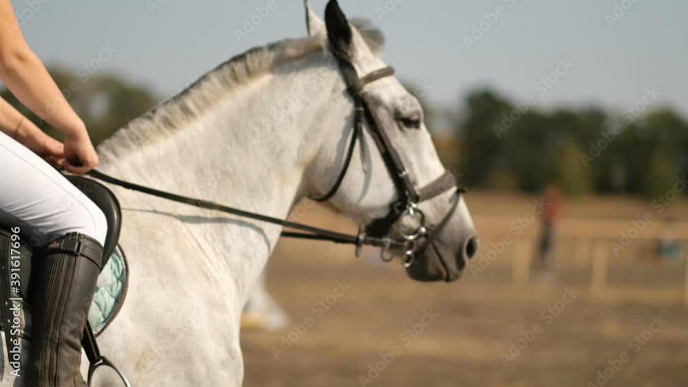 A rider trains before a show jumping competition. Equestrian sport, show jumping competition. A rider trains before a show jumping competition. Equestrian sport, show jumping competition.