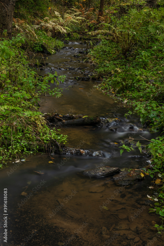 Utersky creek in dark color morning near Utery town in west Bohemia