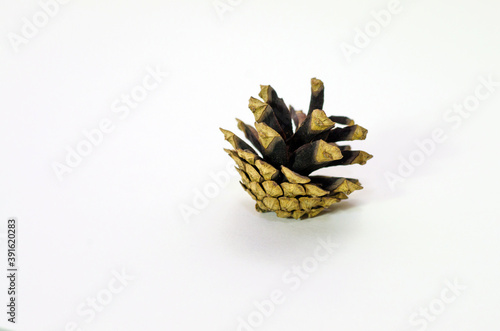 Golden Christmas cones on a white background