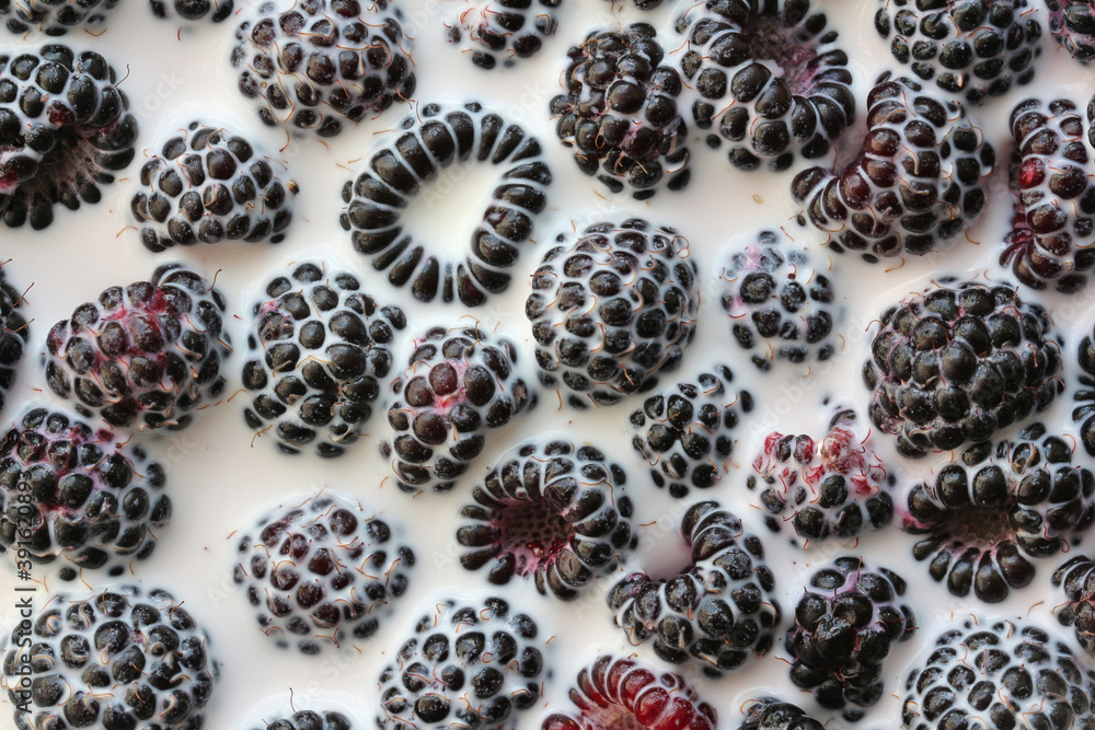 Raspberries in milk. Light dessert, background.
Raspberries in milk. Light dessert, background.