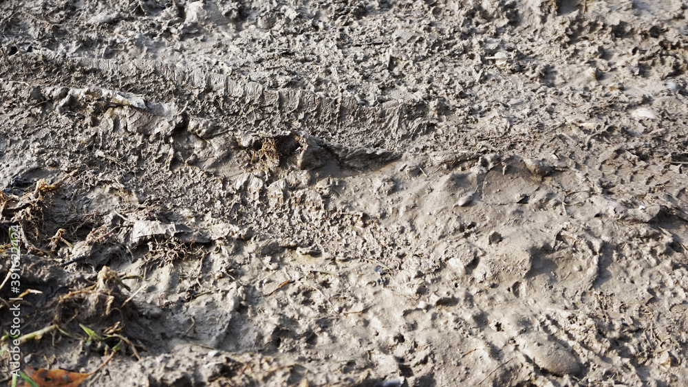 Feldweg mit Matsch und Spur