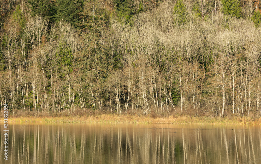 Beautiful autumn landscape of the lake with a yellow trees and reflection in the lake. Selective focus, travel photo, concept photo autumn in nature. Beautiful autumn landscape of the lake with a yellow trees and reflection in the lake. Selective focus, travel photo, concept photo autumn in nature.