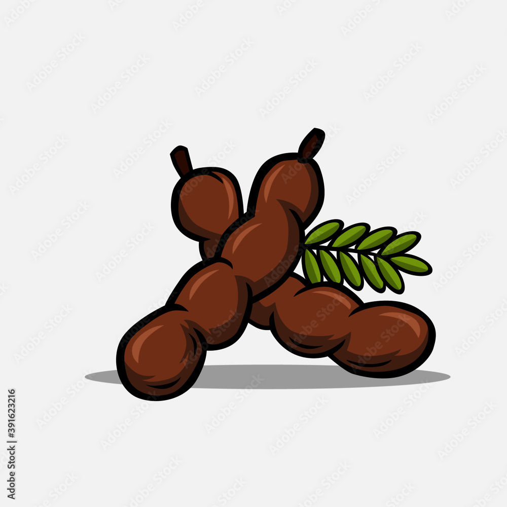 Vector illustration of Tamarind. Fruit vector illustration. Stock Vector Adobe Stock