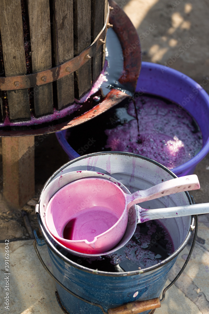 The winemaker pours grape juice for transportation into barrels. The winemaker pours grape juice for transportation into barrels.