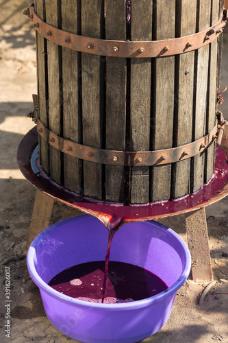 Winepress with red must and helical screw. Production of traditional Italian wines, crushing of grapes. © Mountains Hunter