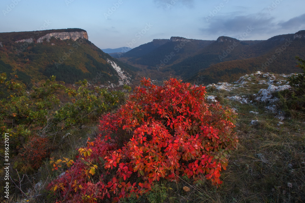 Beautiful autumn landscape in the mountains. Bright colors of autumn. Beautiful autumn landscape in the mountains. Bright colors of autumn.