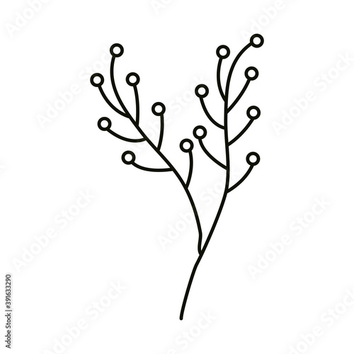 leaves line icon style, branch nature dry