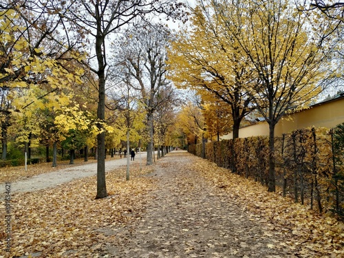 automne - vienne