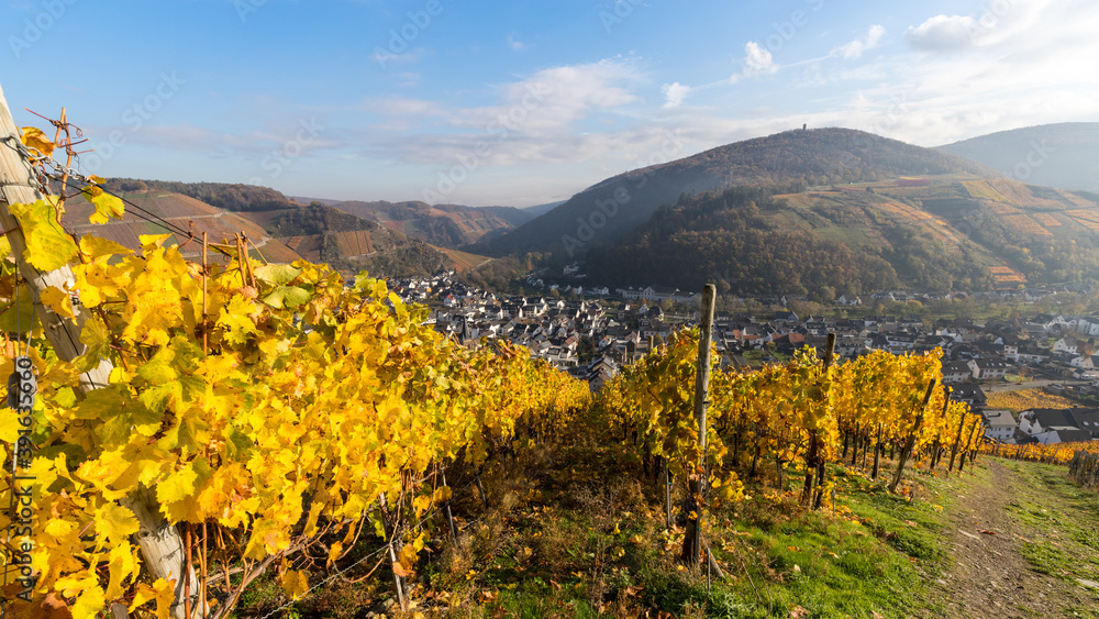 Panorama Dernau im Herbst