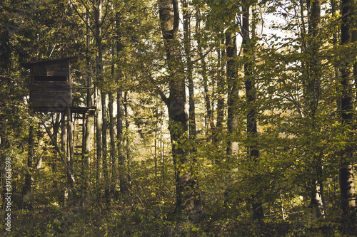 Ambona myśliwska chowana w lesie