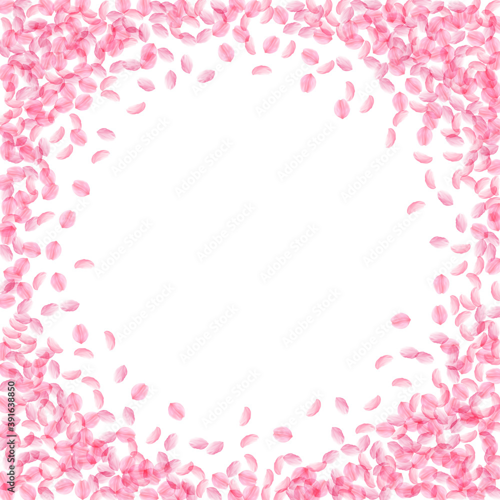 Sakura petals falling down. Romantic pink silky sm Sakura petals falling down. Romantic pink silky sm
