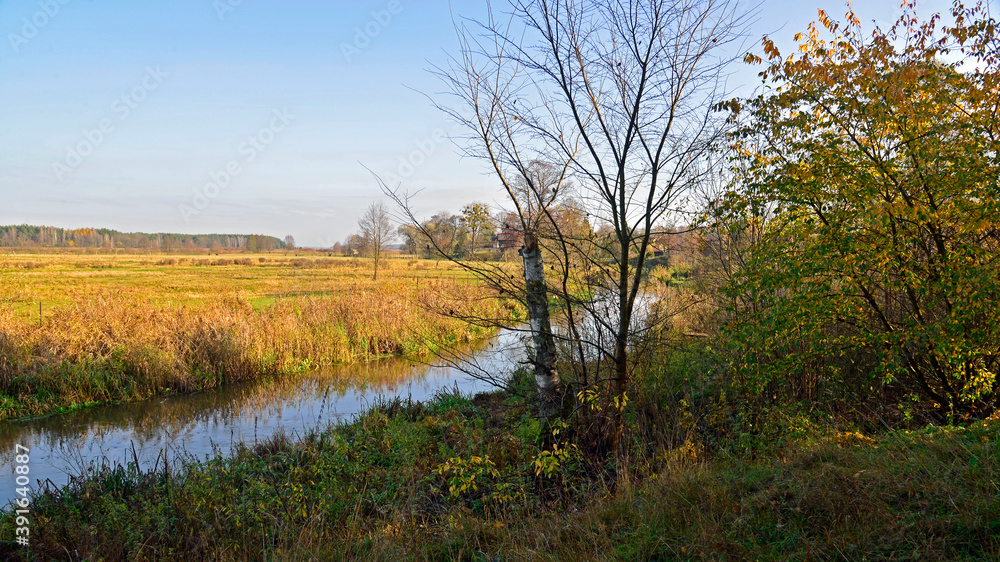 November 2020 autumn in the river valley near the Kozliki village in Podlasie in Poland November 2020 autumn in the river valley near the Kozliki village in Podlasie in Poland