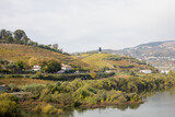 Autumn in Douro Valley, Portugal