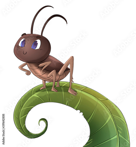 Fotografia Cricket on top of a leaf