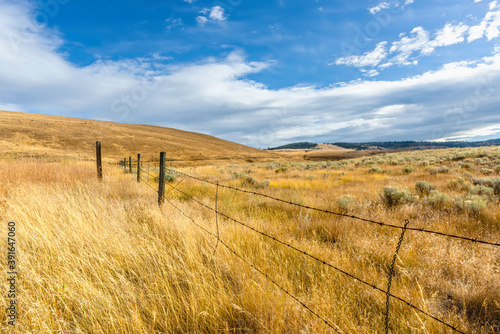 Yellow autumn grass in the steppe  barbed wire fence  hills and green trees in the distance  blue sky with white clouds in the background.