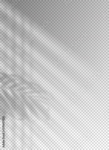 Shadow blinds. Light from window. Overlay effect. Shade jalousie transparent. Isolated background. Light on window blinds. Reflected shadow on wall. Realistic soft shade blind. Vertical mockup. Vector