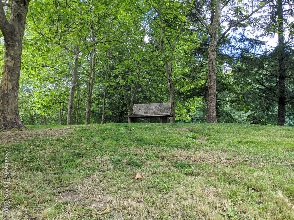 Empty, lonely wooden park bench next to a walking path in a park Empty, lonely wooden park bench next to a walking path in a park