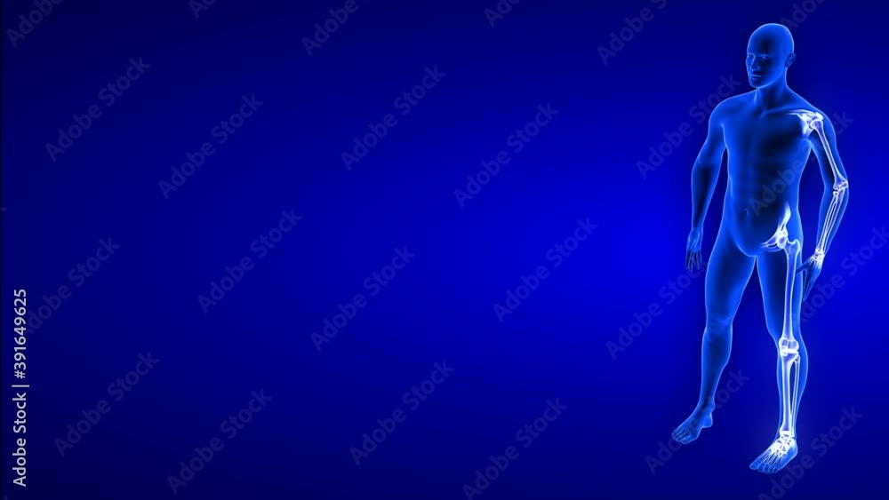 Joint Pain animation from side view. Blue Human Anatomy Body 3D Scan render - rotating seamless loop on blue background Joint Pain animation from side view. Blue Human Anatomy Body 3D Scan render - rotating seamless loop on blue background
