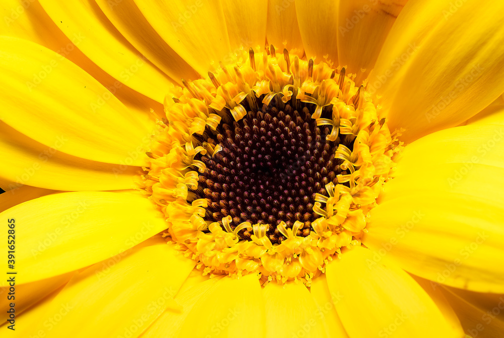 The closer you get, more will be revealed. The closer you get, more will be revealed.