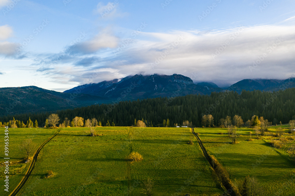 Beautiful landscape with green and yellow grass fields in the foreground and blue misty mountains in the background