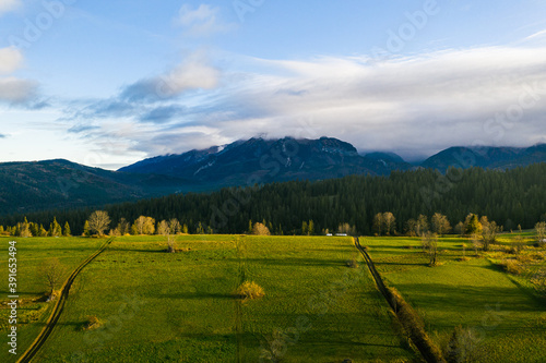 Beautiful landscape with green and yellow grass fields in the foreground and blue misty mountains in the background