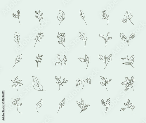 leaves line icons style, leaf branch plant foliage floral