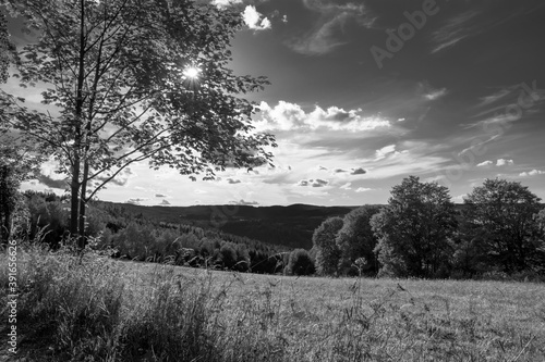 Outlooks at Kasperske Mountains, Sumava national park, Czechia, black and white photo