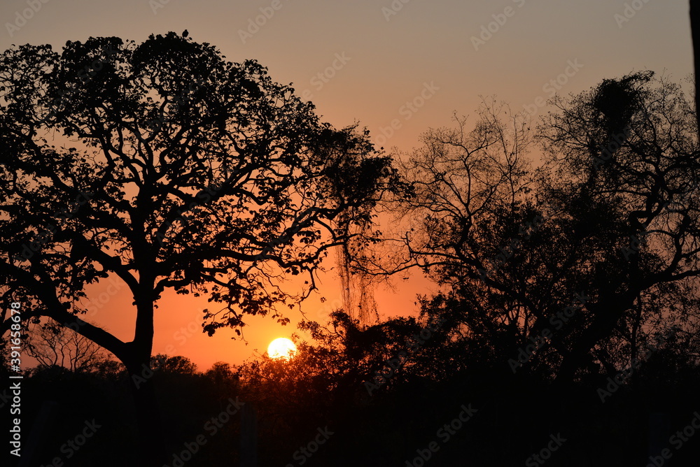 Sunrise in the Pantanal