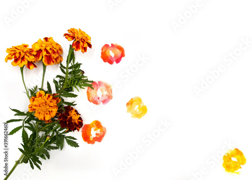 Autumn fall marigold calendula flowers and red yellow orange romantic lipstick kisses. Border photo with free blank copy space for text. For Valentines day cards, invitations, wedding decoration