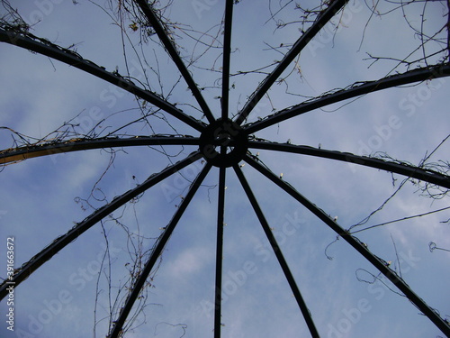 Gazebo architecture with bare vines