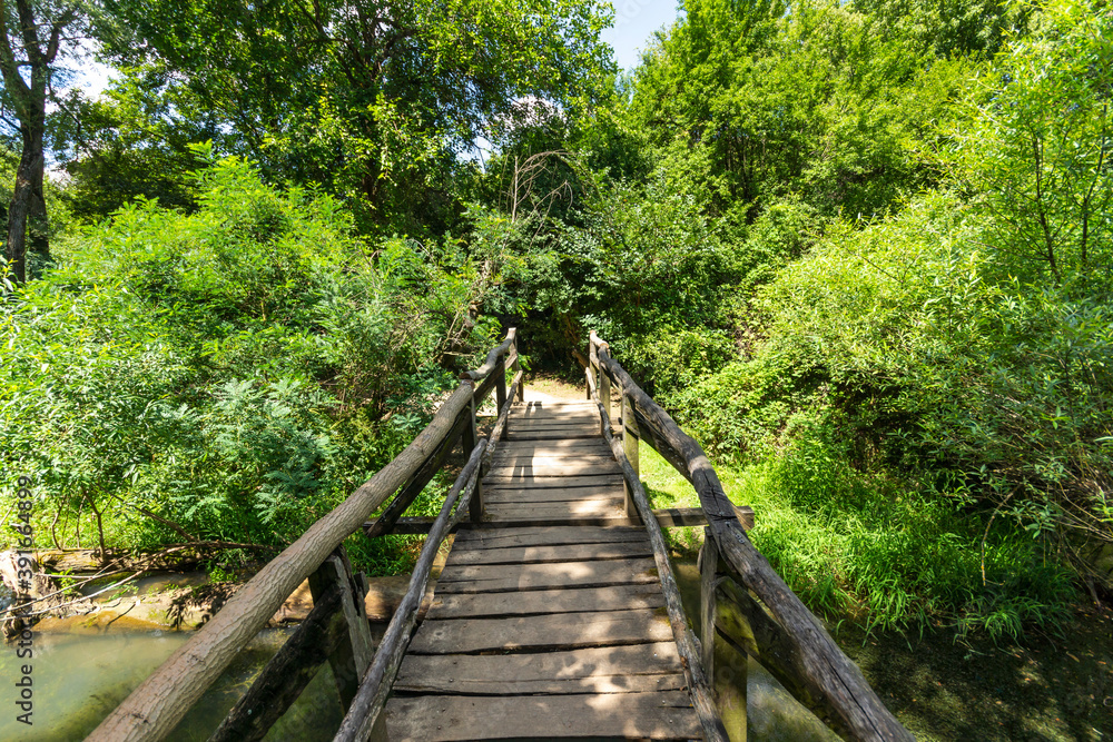 Obraz premium Iskar Panega Geopark along the Gold Panega River