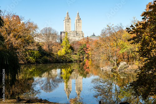 Fall in Central park 