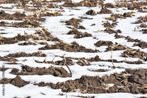 Dirt and Snow