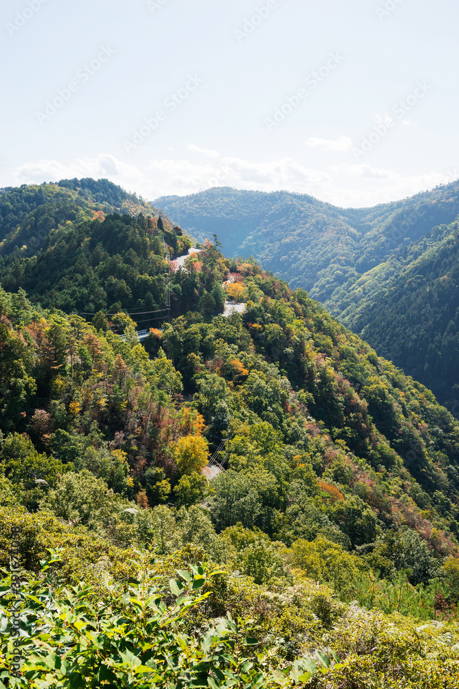 Fototapeta premium 嵐山高雄パークウェイからの景色