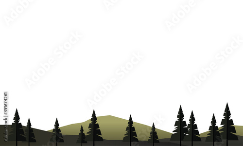 beautiful landcape scene with coniferus forest field